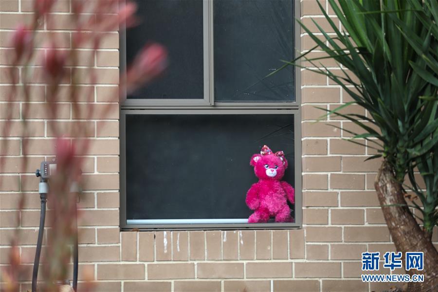 「玩具」抗疫中的暖心瞬间——澳大利亚的“偶遇小熊”接力