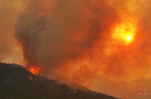 #森林火灾#追问西昌森林火灾:为何多发,为何风向突变,可否不扑救?