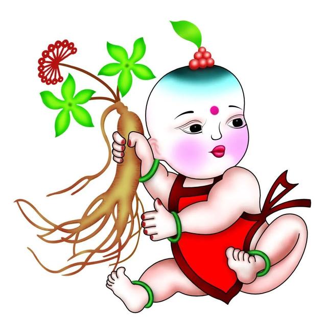 野山参被草和小树保护,大蛇护参,人参娃娃的故事多的数也数不过来