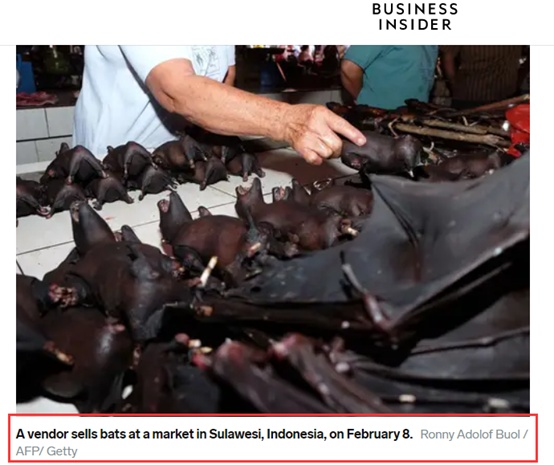 『蝙蝠』污称“中国仍在贩卖蝙蝠肉”，这个英国媒体人能要点脸么？