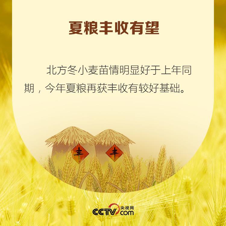 【】疫情或将引发粮食危机 我需要囤粮吗？