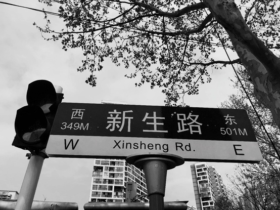 『王振』?一条名叫新生的路