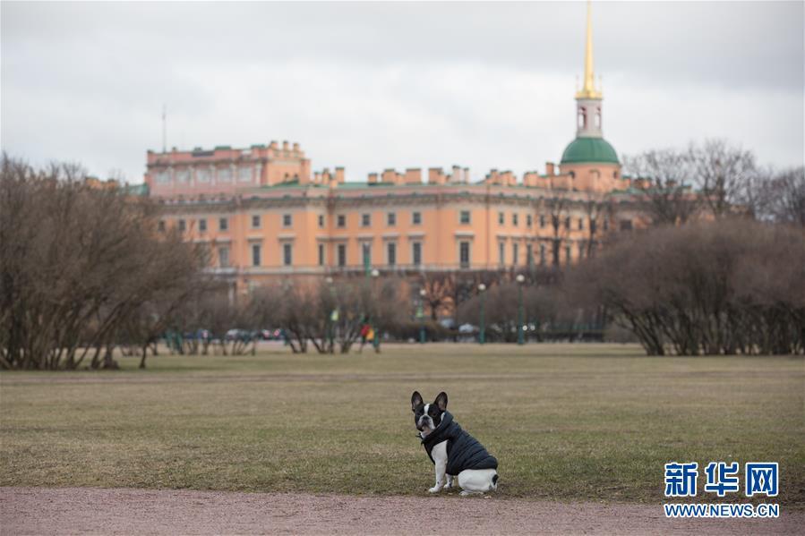 『国际』俄罗斯确诊病例增至4149例