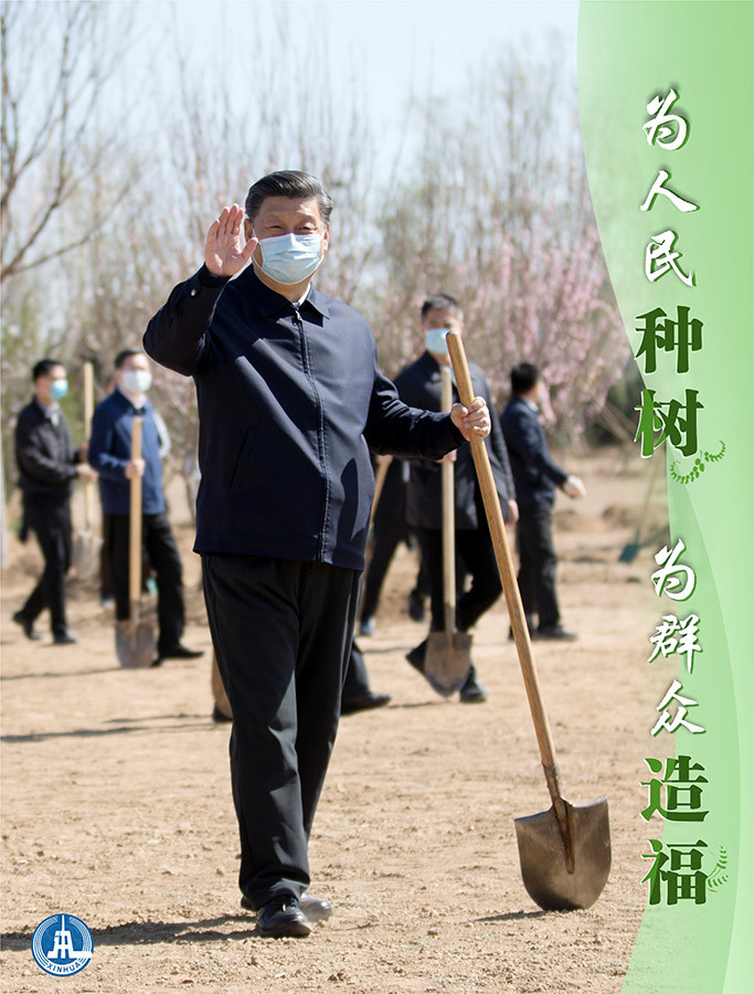 时政@为人民种树，为群众造福