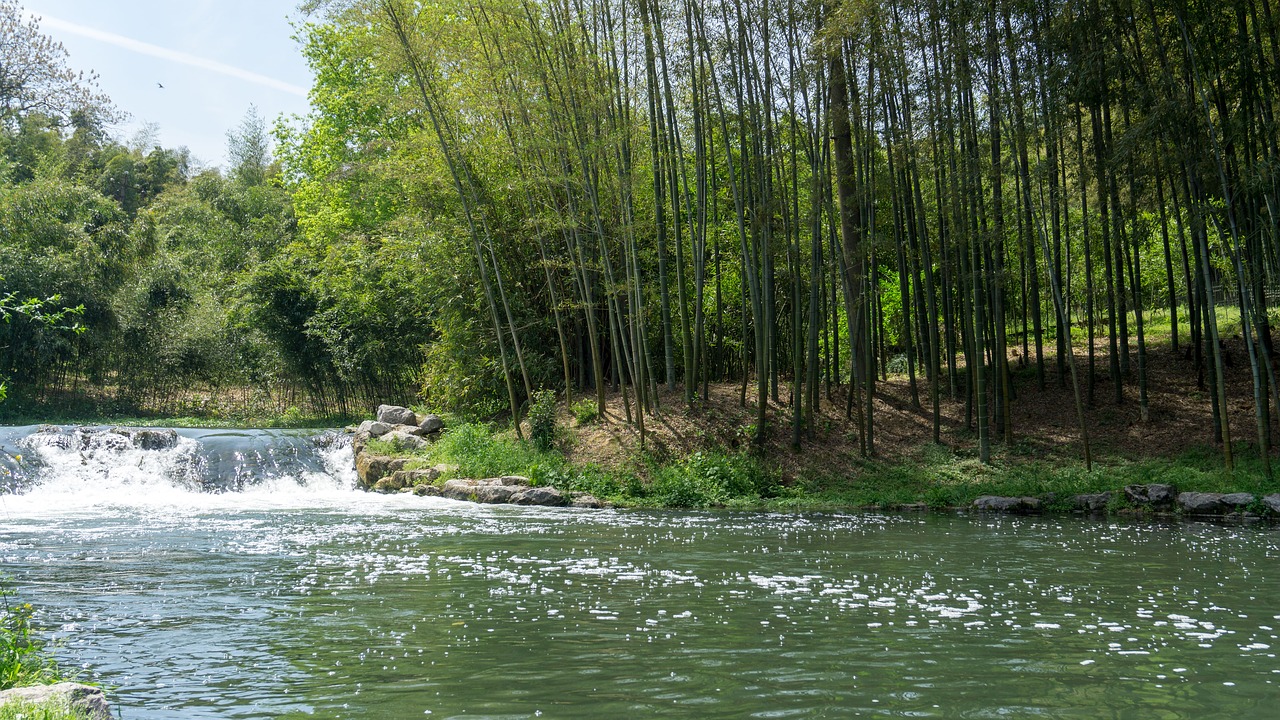 waters-3310374_1280.jpg