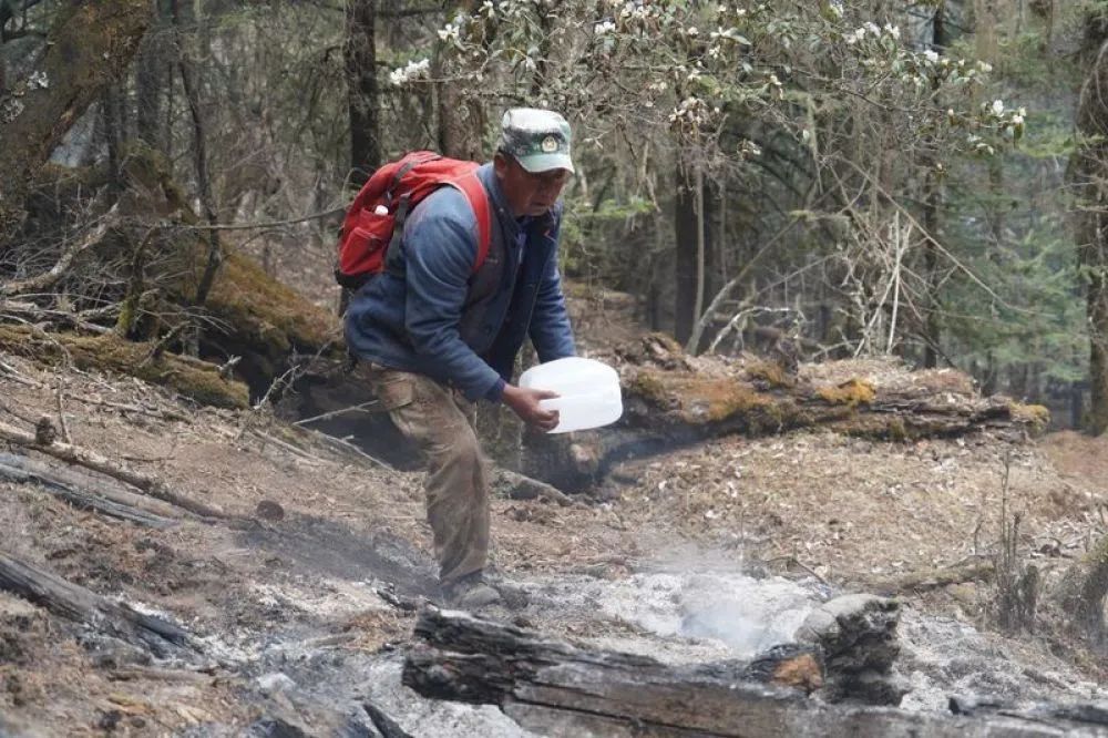 [森林火灾]鏖战一周，木里森林火情怎么样了？