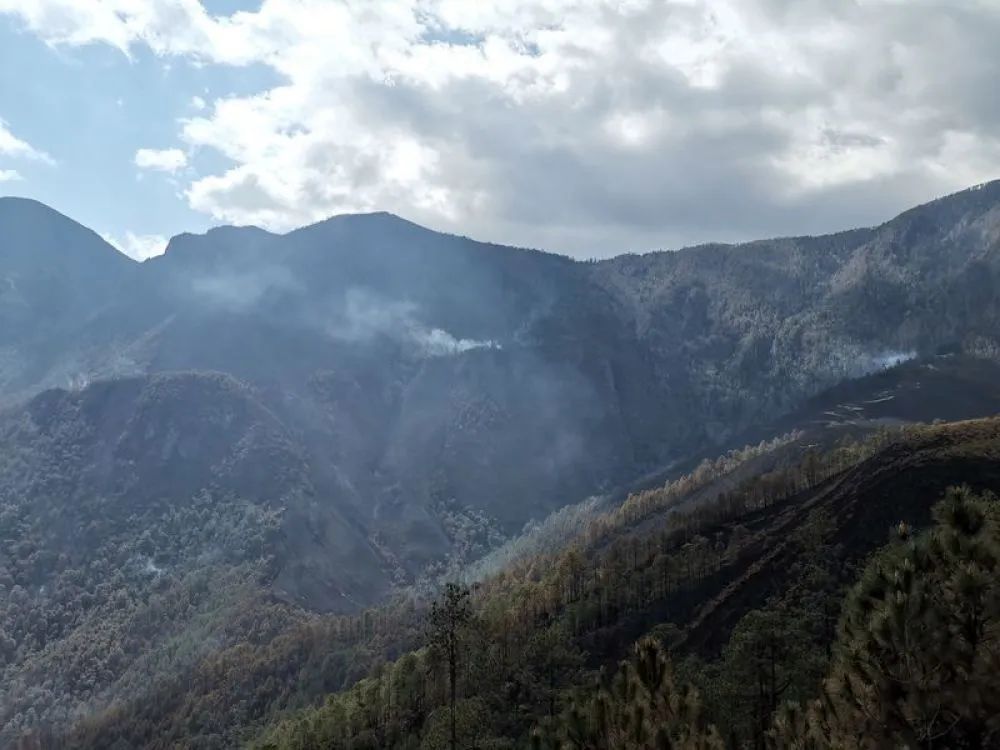 [森林火灾]鏖战一周，木里森林火情怎么样了？