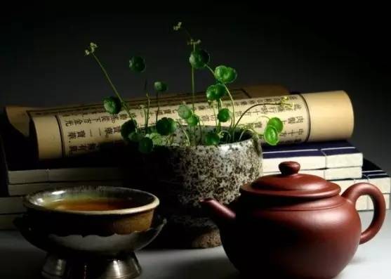 [社会]【夜读】我们都需要一个知己！