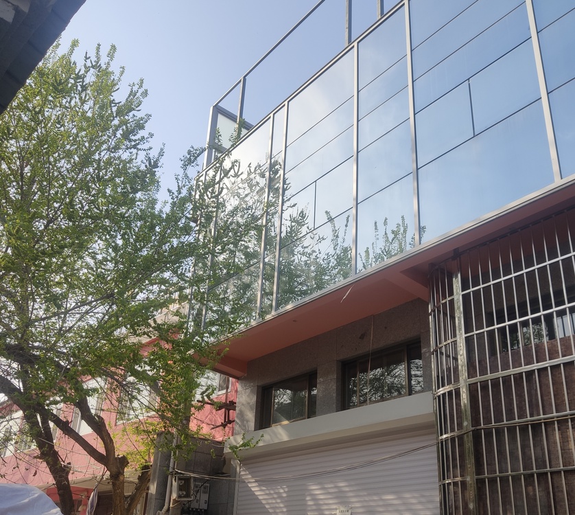 「幕墙」疑似自建幕墙惹祸 南飞候鸟频频“碰壁”坠亡