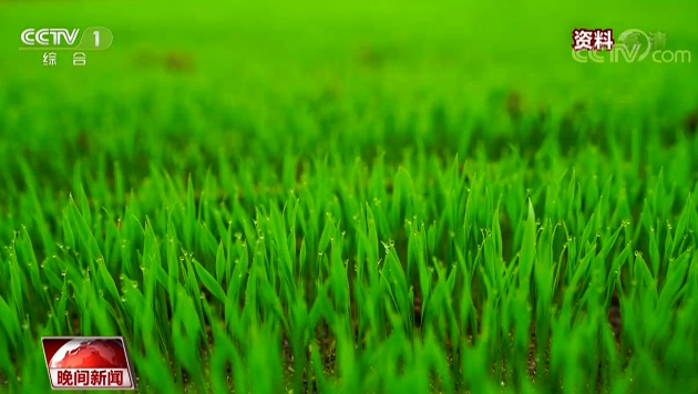 农业■权威数据告诉你 我们为什么不用囤粮