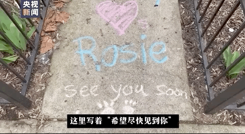 『疫情』阳台上的掌声、家门口的涂鸦……疫情下，美国民众这样加油打气