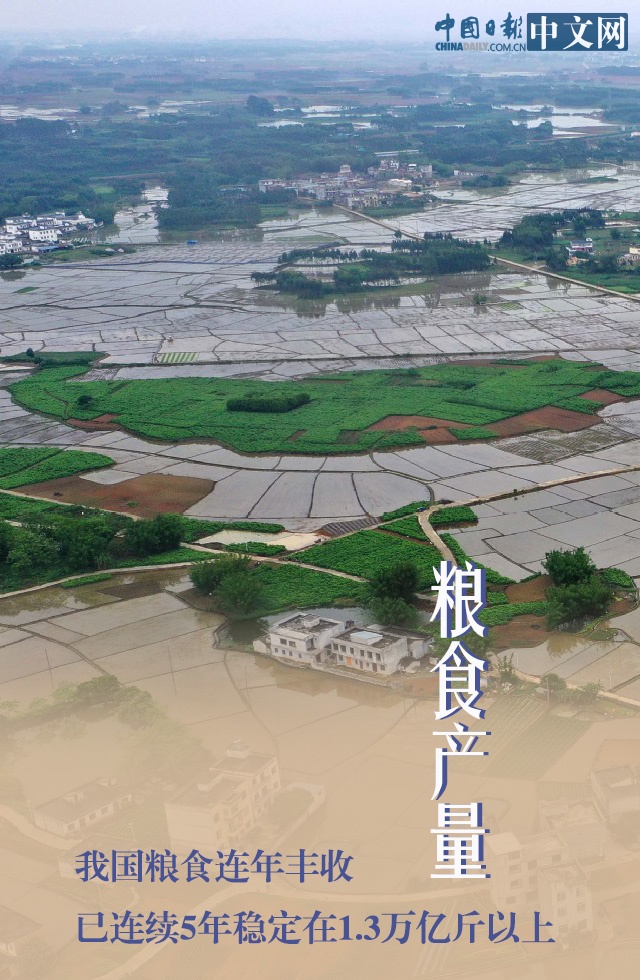 疫情：莫慌！防疫春耕两手抓 我们的“米袋子”货足价稳