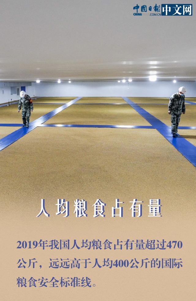 疫情：莫慌！防疫春耕两手抓 我们的“米袋子”货足价稳