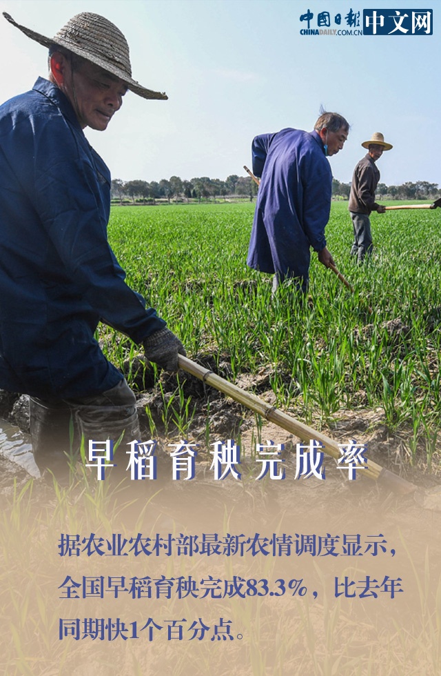 疫情：莫慌！防疫春耕两手抓 我们的“米袋子”货足价稳