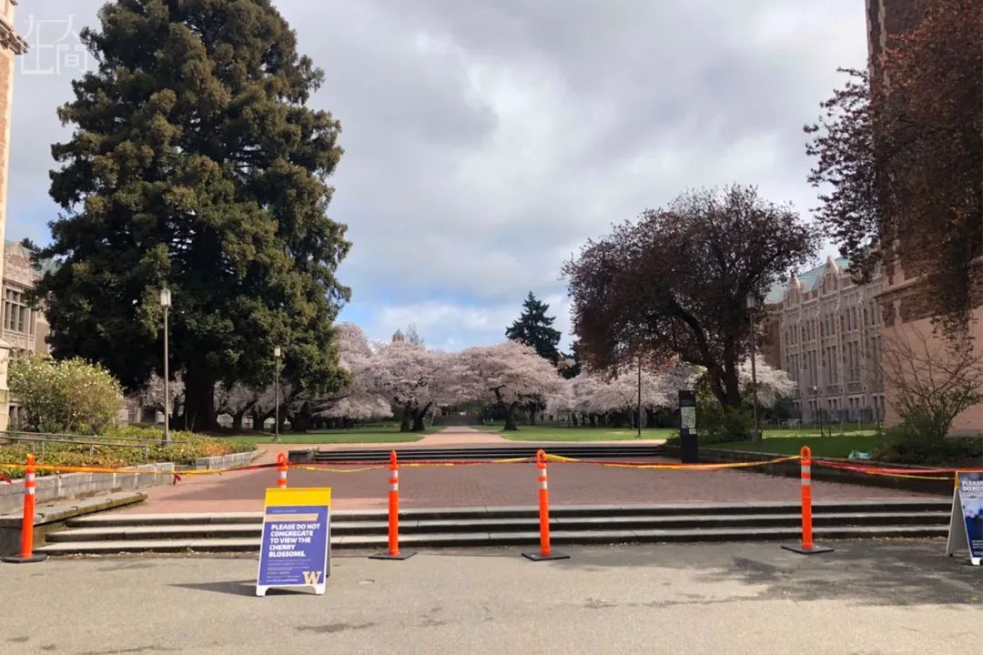 「疫情」中国留美毕业生自述：一场疫情下的美国