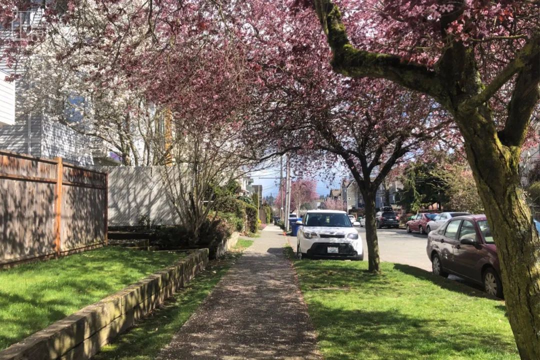 「疫情」中国留美毕业生自述：一场疫情下的美国