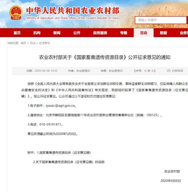 「动物」“可食用陆生动物名单”征意见：狗为伴侣动物拟禁食