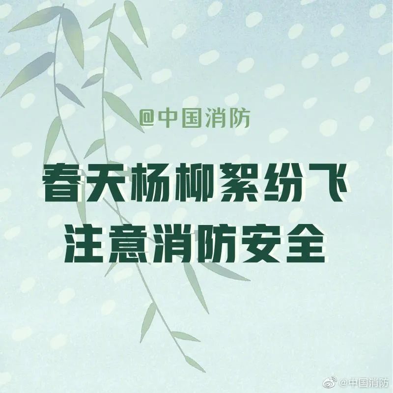 「柳絮」应急科普丨春季谨防杨柳絮着火！