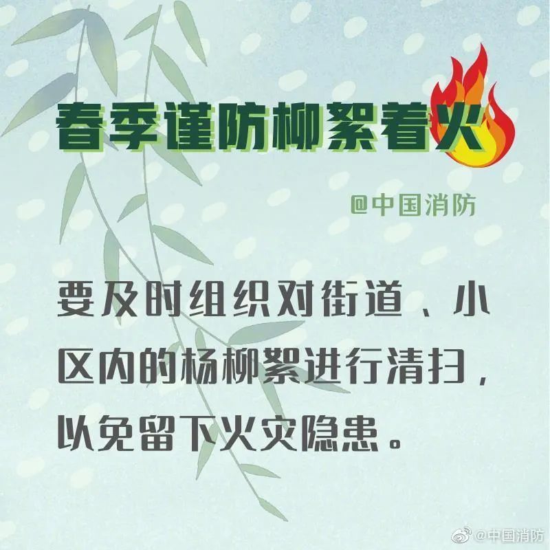「柳絮」应急科普丨春季谨防杨柳絮着火！