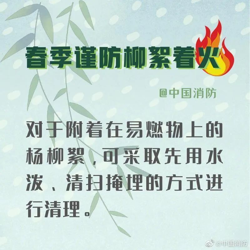 「柳絮」应急科普丨春季谨防杨柳絮着火！
