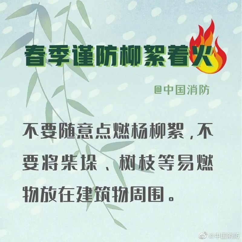 「柳絮」应急科普丨春季谨防杨柳絮着火！