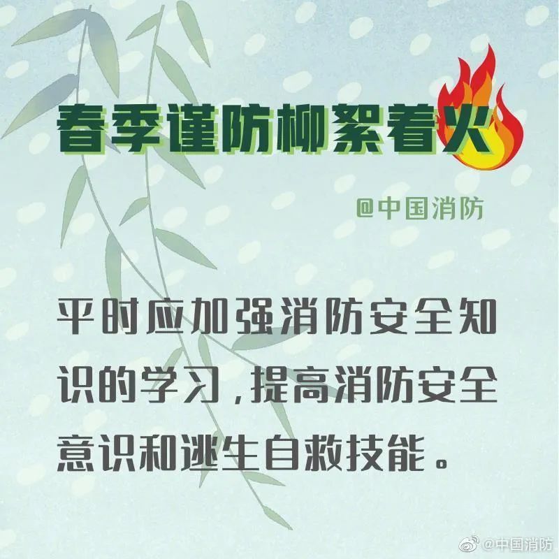 「柳絮」应急科普丨春季谨防杨柳絮着火！
