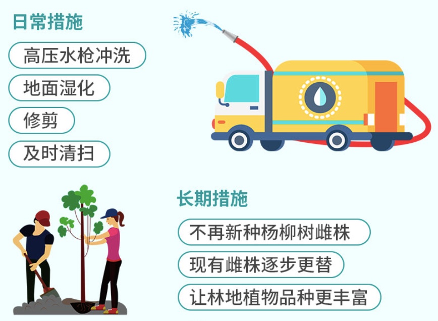 「杨树」飞絮季节话杨柳，这些知识你知道吗？