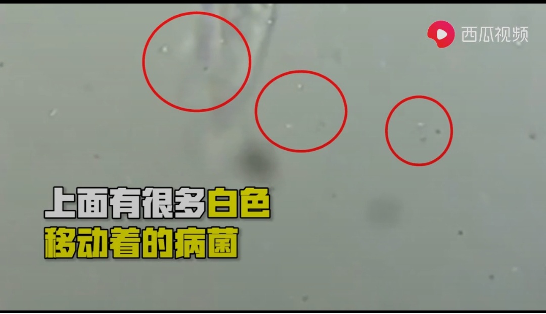 口罩@把使用过的口罩放大1000倍，才发现…