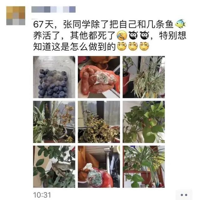 「社会」67天没回家，援鄂女护士打开房门惊呆了……