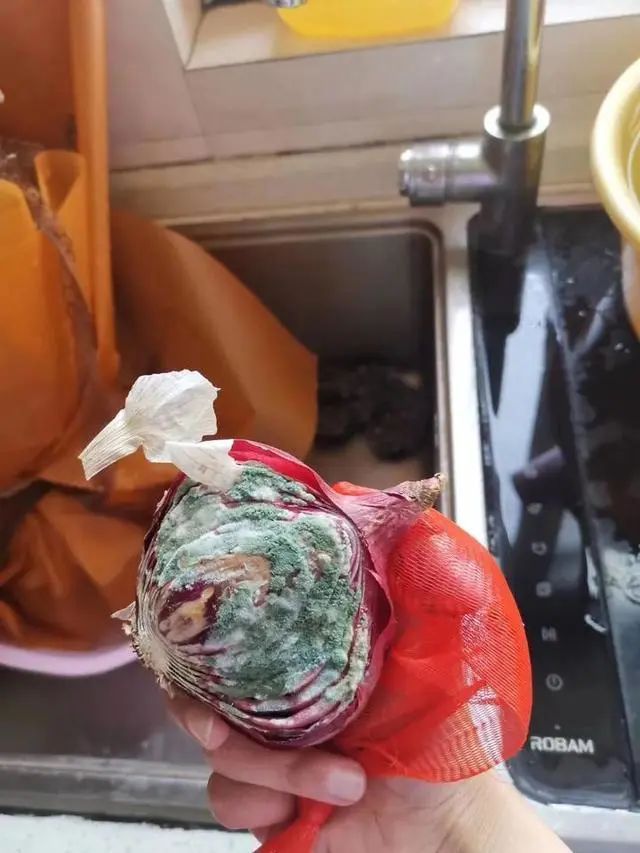 「社会」67天没回家，援鄂女护士打开房门惊呆了……