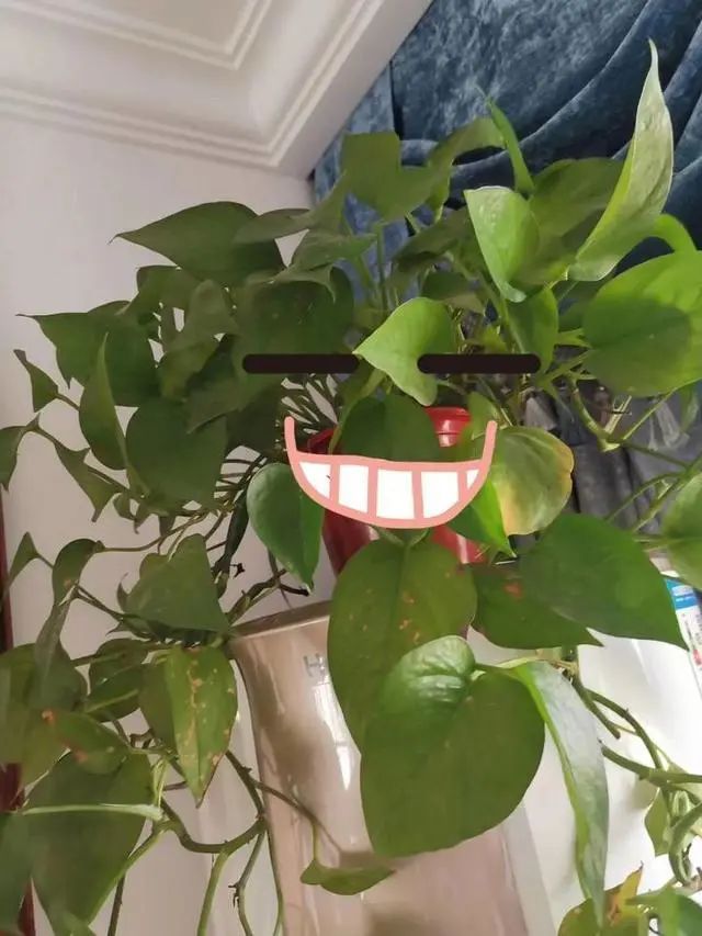 「社会」67天没回家，援鄂女护士打开房门惊呆了……