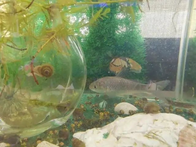 「社会」67天没回家，援鄂女护士打开房门惊呆了……