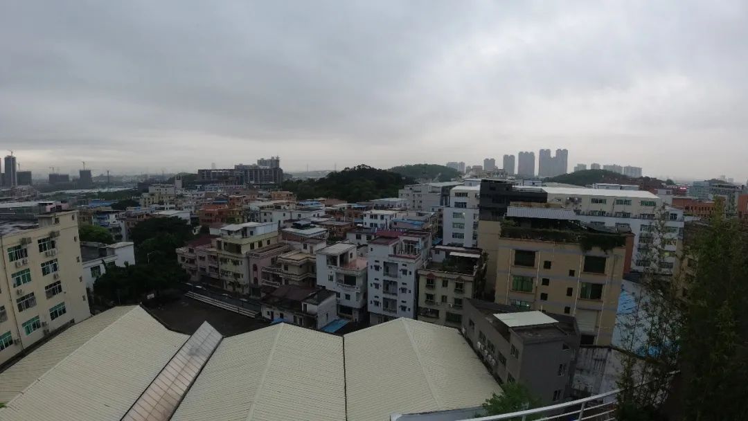 「生死时速」广东淘宝直播第一镇复工“生死时速”