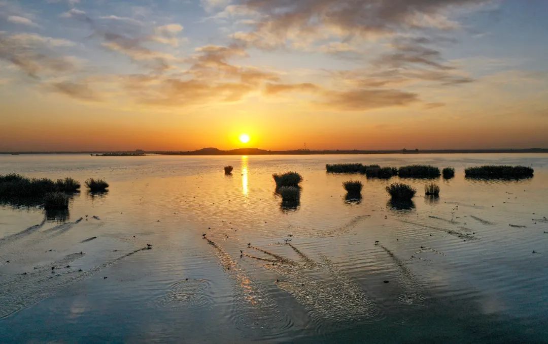 [处世之道]这四个词，道破强者的处世之道