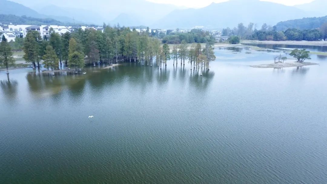 [处世之道]这四个词，道破强者的处世之道