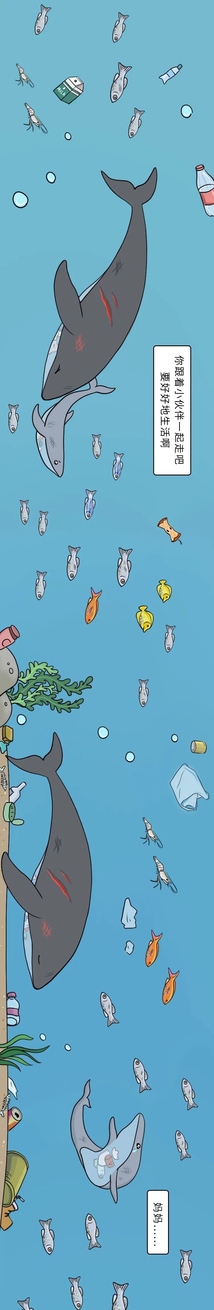 国际▲“妈妈，不要离开我……”