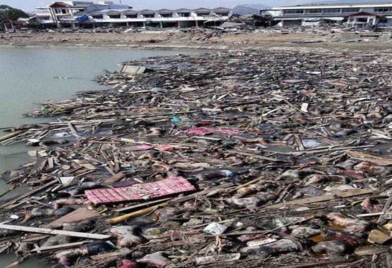 地震:应急科普丨认识海啸,掌握自救方法