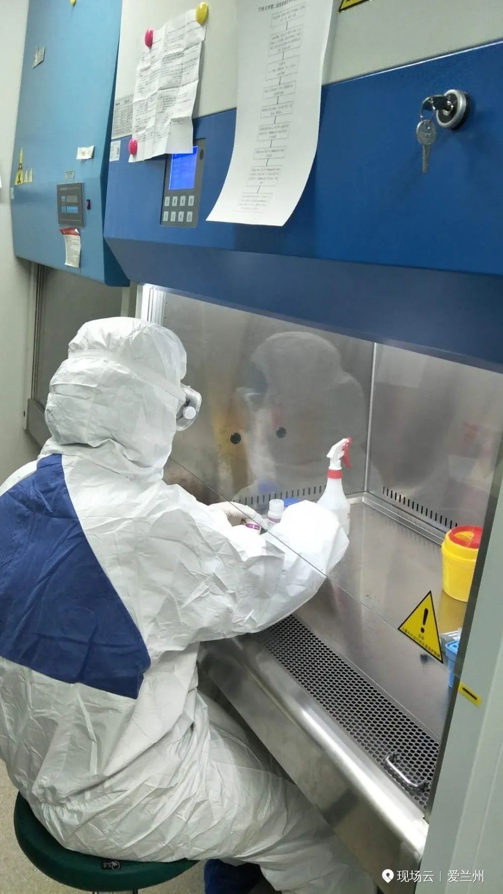 疫情■【你有多美】“刀尖”上的舞者 记兰大二院奋战在疫情第一线的新冠病毒核酸检测小组