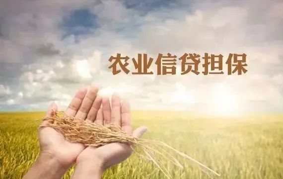 农业@四部门共推农业信贷担保“增强版”