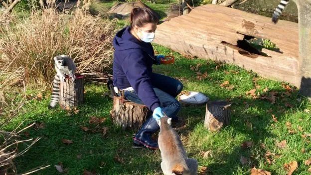 #疫情#“在美国干了三十多年，第一次失业”