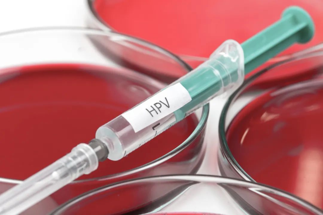 『hpv』国产HPV疫苗来了！比进口便宜一半，5月起这些地方可接种