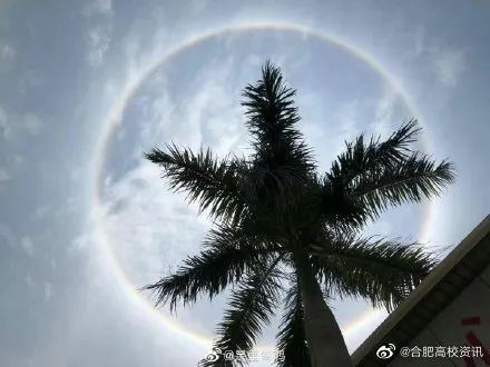 「摄影」全国多地上演日晕奇观！拍照的网友太皮了~