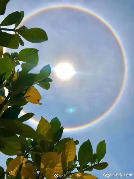 「摄影」全国多地上演日晕奇观！拍照的网友太皮了~