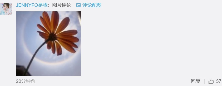 「摄影」全国多地上演日晕奇观！拍照的网友太皮了~