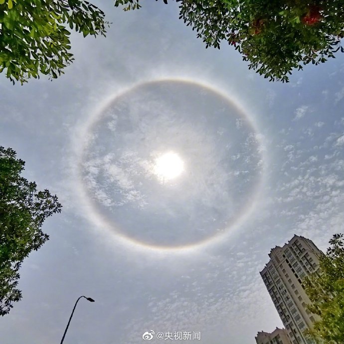 『时政』今天，全国多地出现日晕，你拍到了吗？