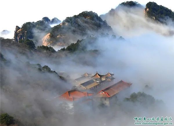 「东方明珠」阳光明“MAY”！这份“五一”出行指南请查收→