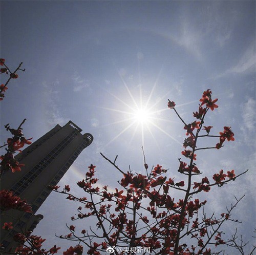 【张斌】全国多地出现日晕