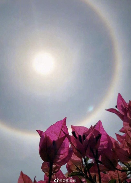 【张斌】全国多地出现日晕