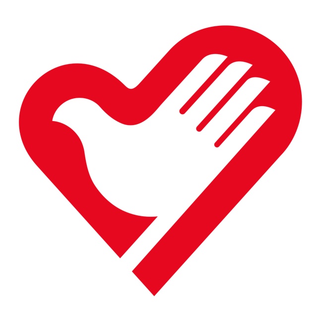 『中国青年志愿者』规范来了!共青团中央、中国青年志愿者协会发布《中国青年志愿者标志基本规范》