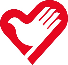 『中国青年志愿者』规范来了!共青团中央、中国青年志愿者协会发布《中国青年志愿者标志基本规范》